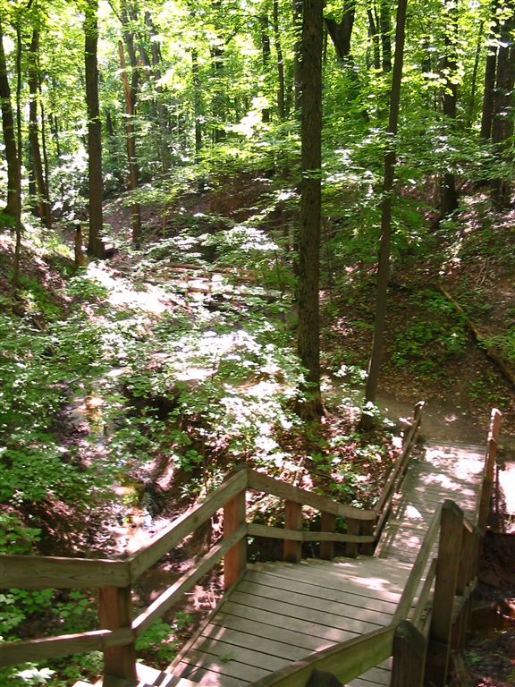 Ravine Traverse None