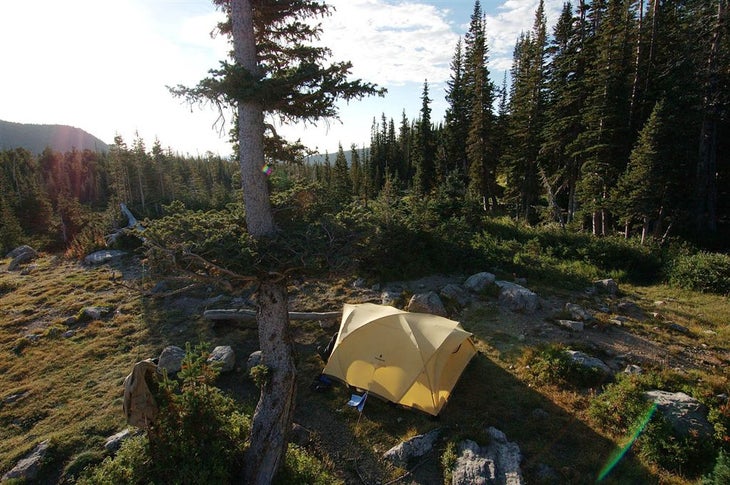 Red Deer Camp None