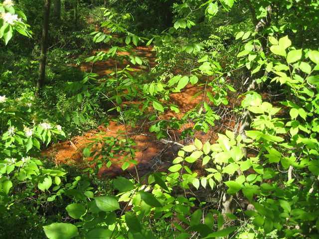 Red Springs None