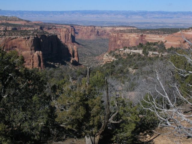 Red-walled canyons None