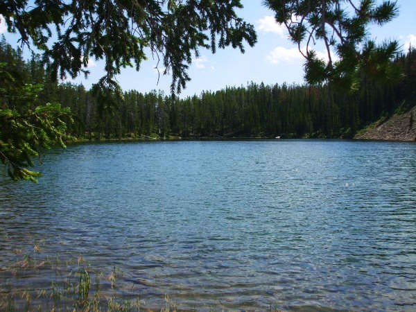 Renshaw Lake None