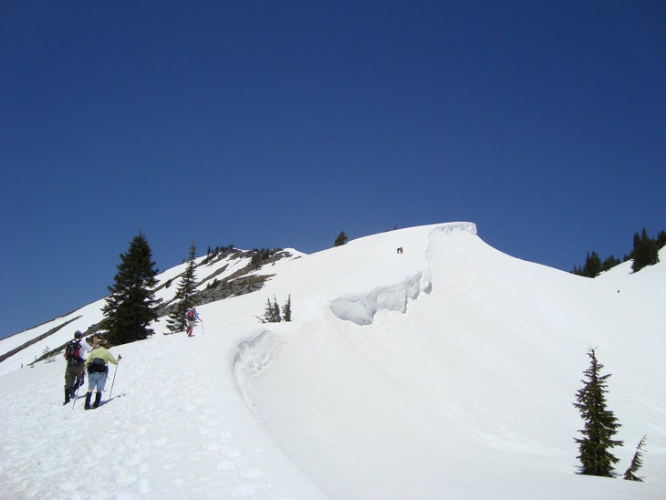 Ridge Line None