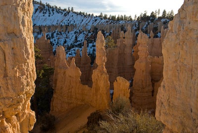 Rock Fins None