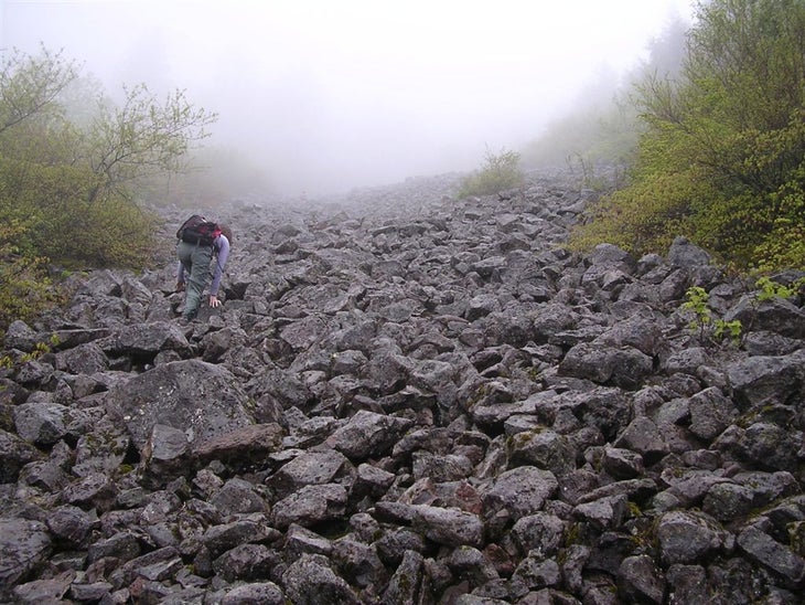 Rock Garden Climb None
