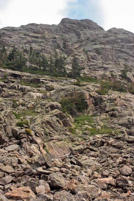 Rock Knob None