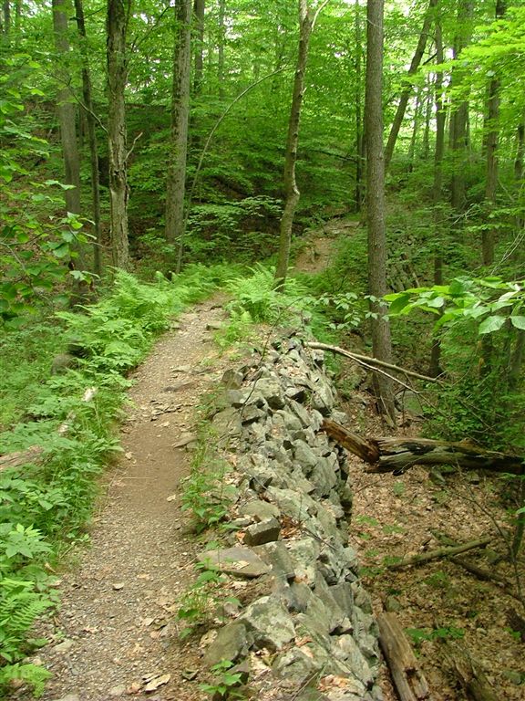 Rock-line path None
