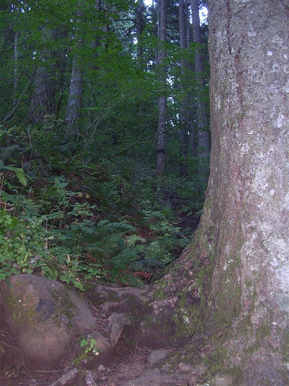 Rock of Ages Trail Junction None