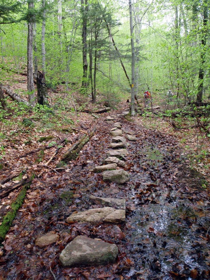 Rock Path None