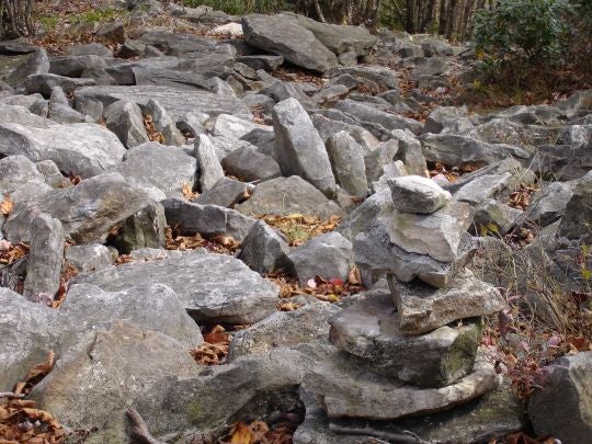 Rock Shrewn Trail None