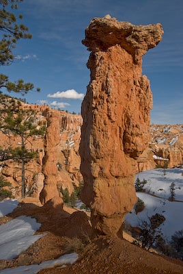 Rock Top None