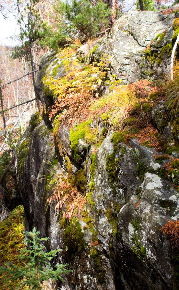 Rock Wall None