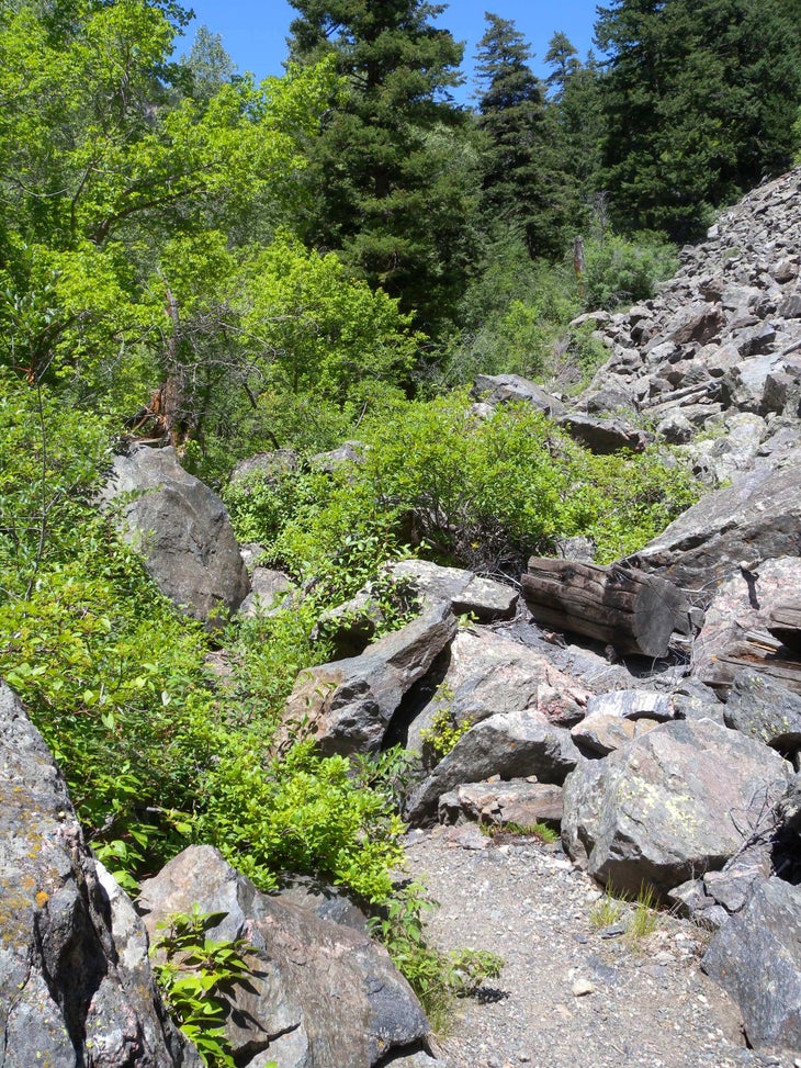 Rocks None