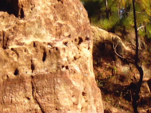 Rocks Everywhere None