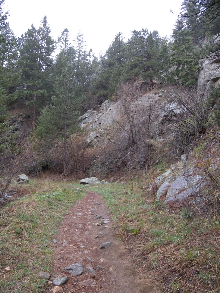 Rocks None