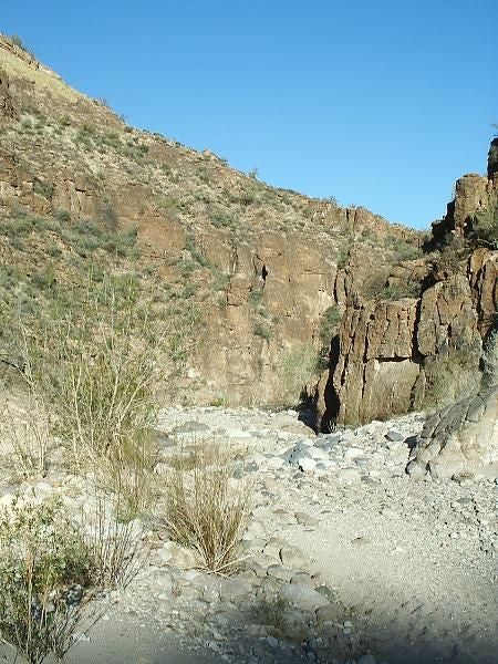 Rocky Canyon Bottom None
