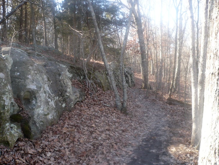 Rocky Ledge None