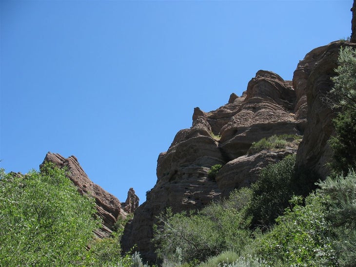 Rocky outcrops None