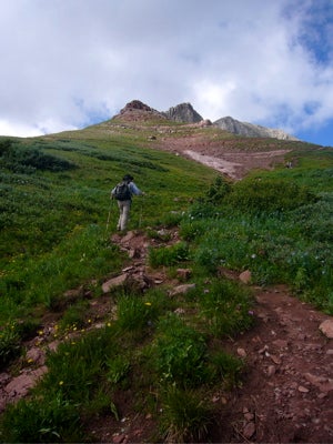 Rocky Trail None