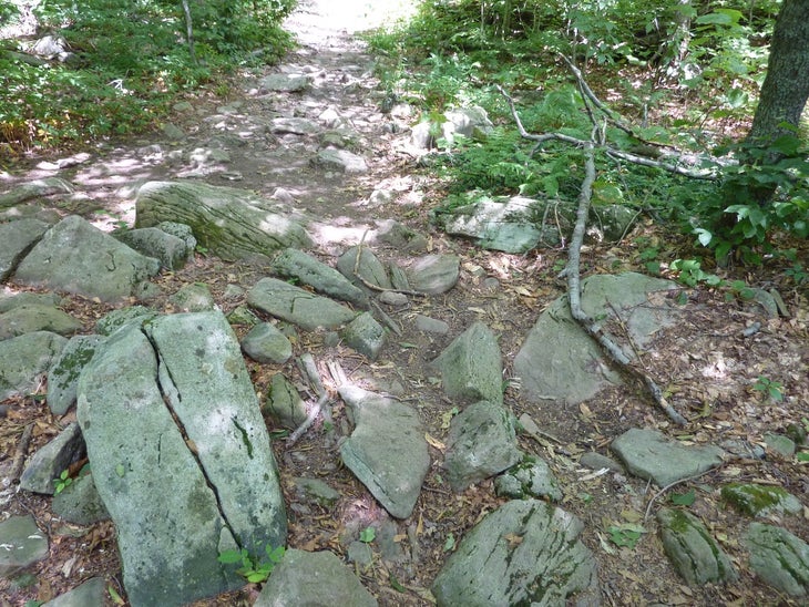 Rocky trail None