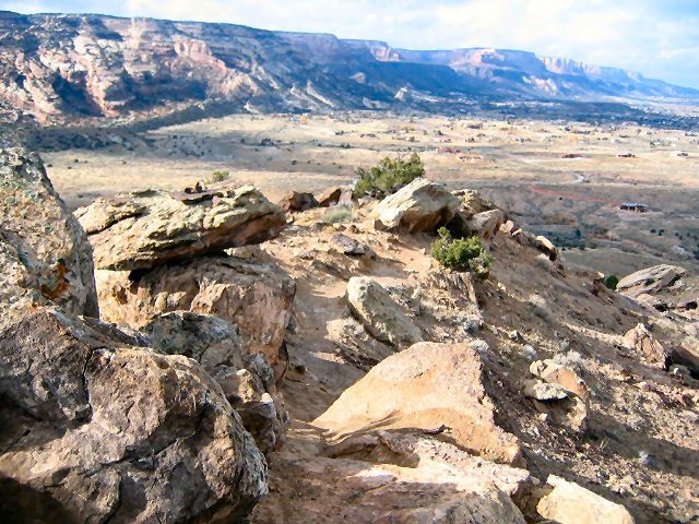 Rocky Trail None