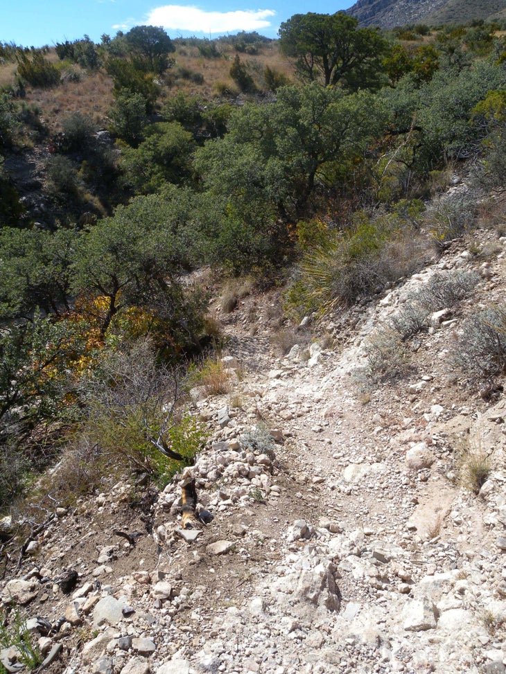 Rugged Hillside None