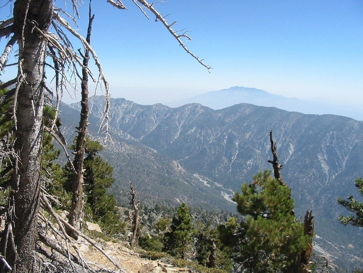 San Bernardino Mountains None