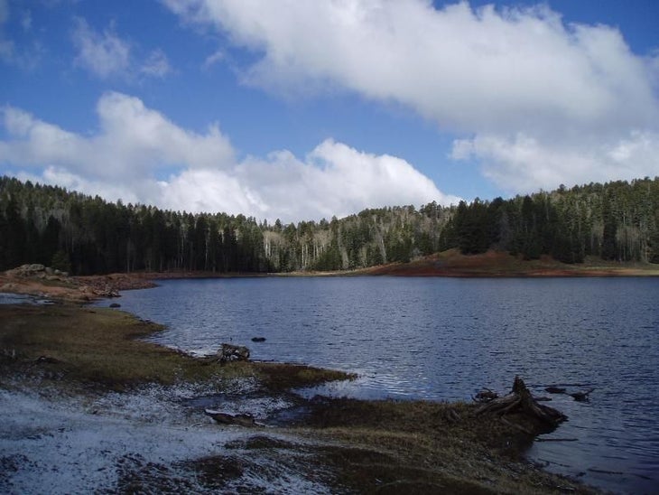 San Gregorio Reservoir None