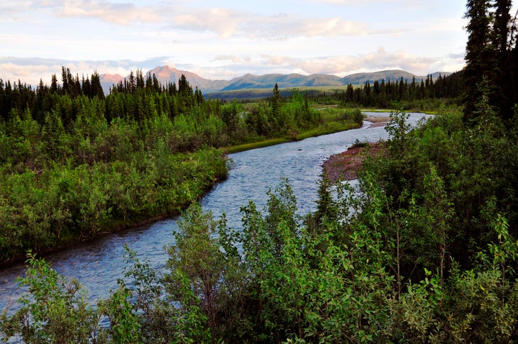 Sanctuary River None