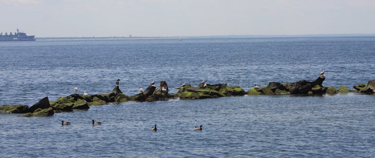 Sandy Hook Bay None