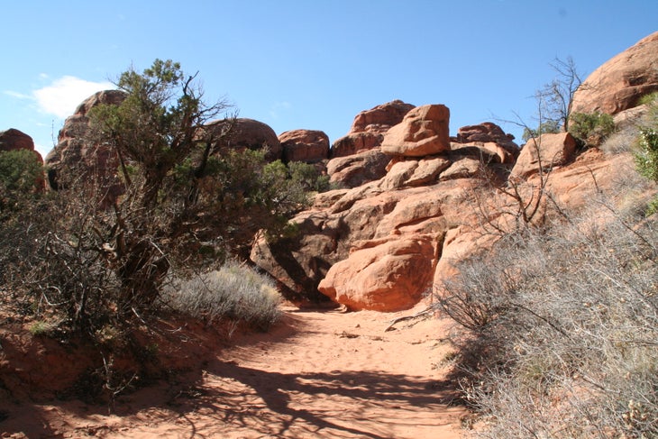 Sandy Wash None