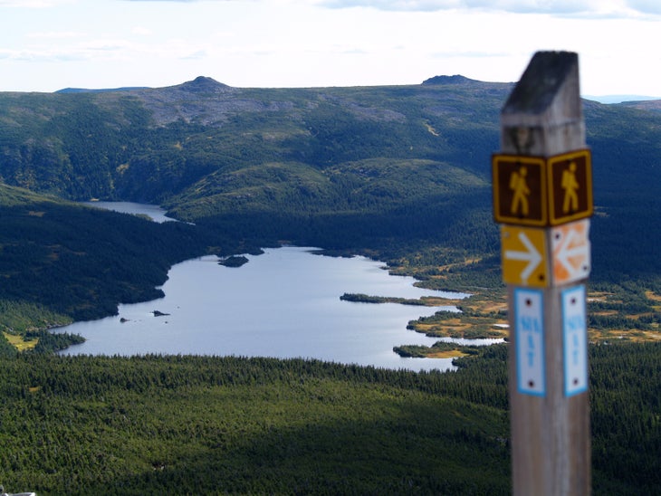 Scenic Overlook near Jacques-Cartier None