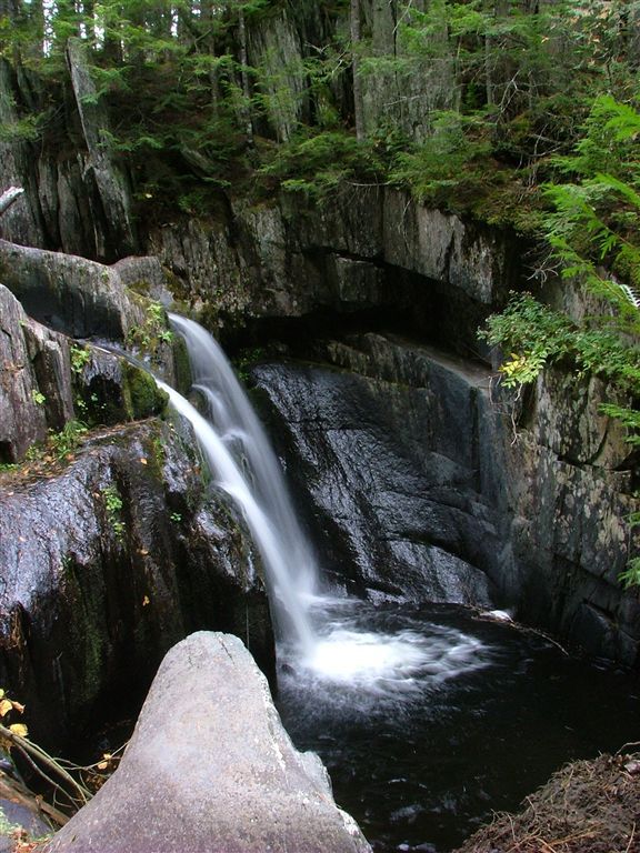 Screw Auger Falls None