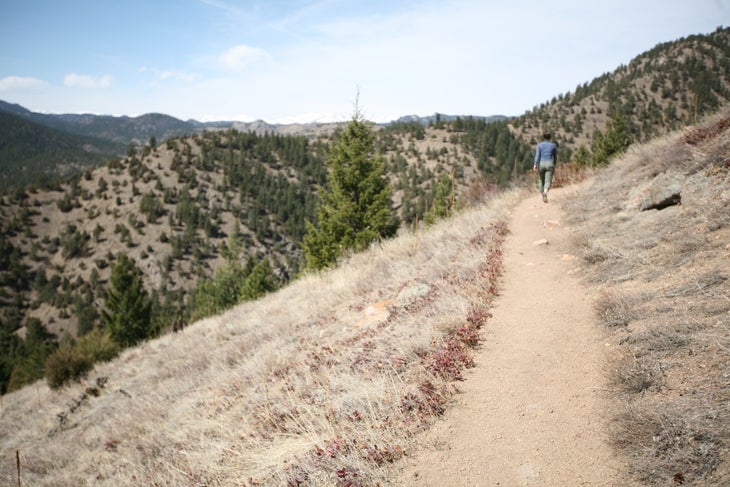 Shadeless Trail None