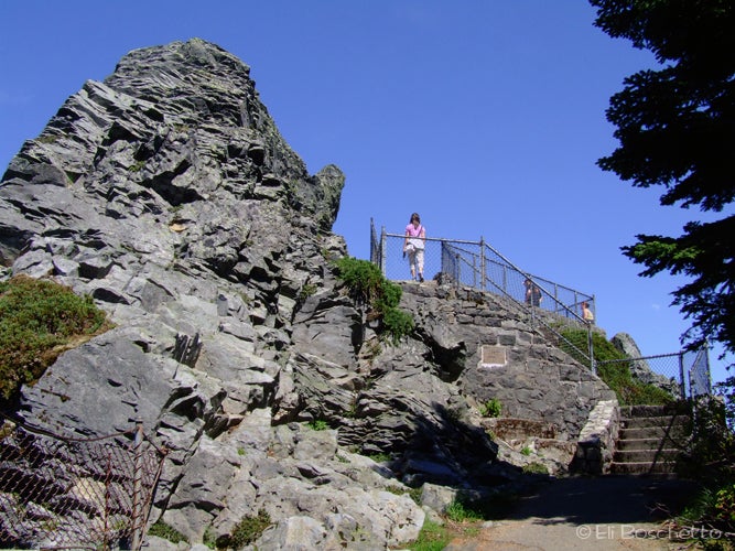 Sherrard Point None