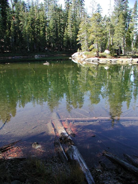 Shores of Island Lake None