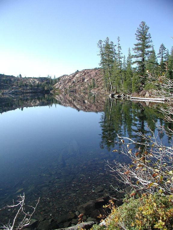 Shores of Penner Lake None