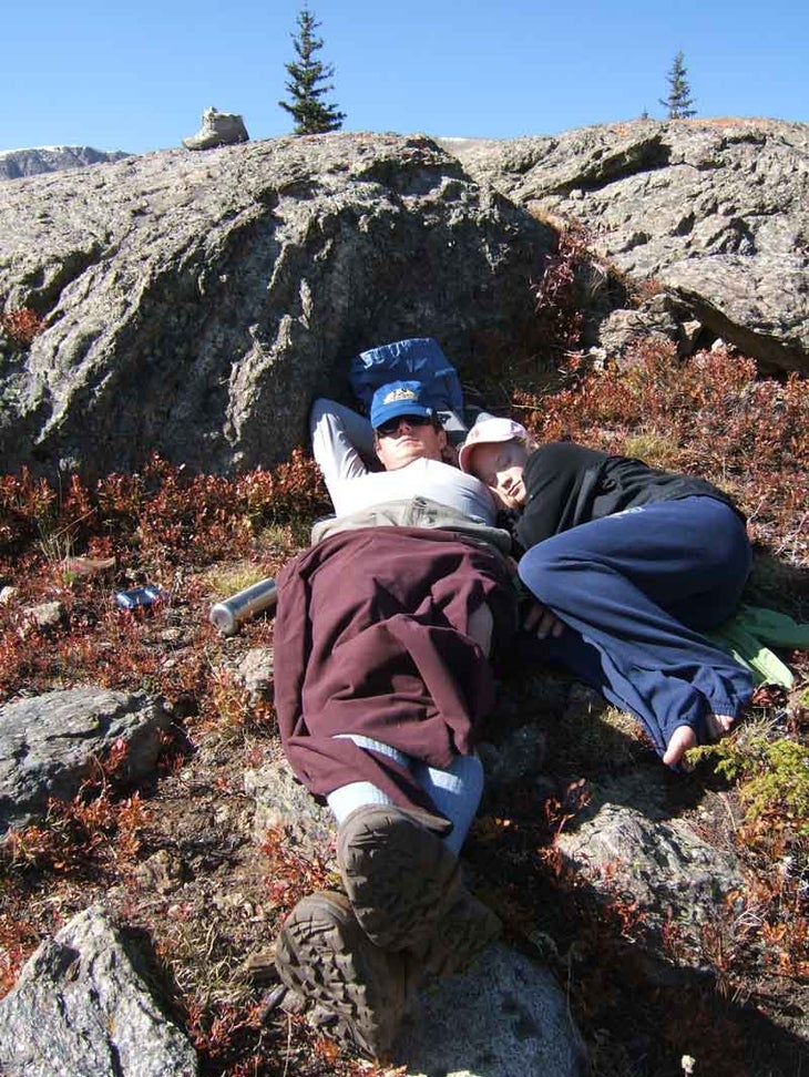 Siesta None