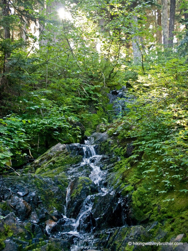Small Creek None