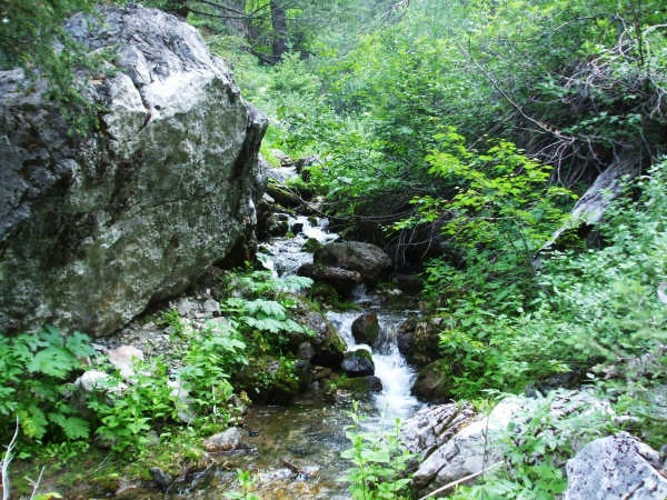 Small Waterfall None