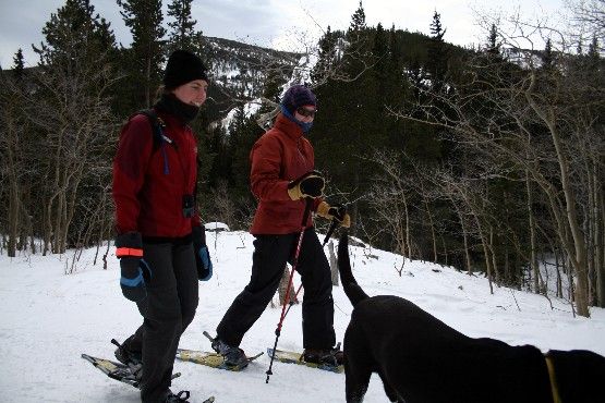 Snowshoers None