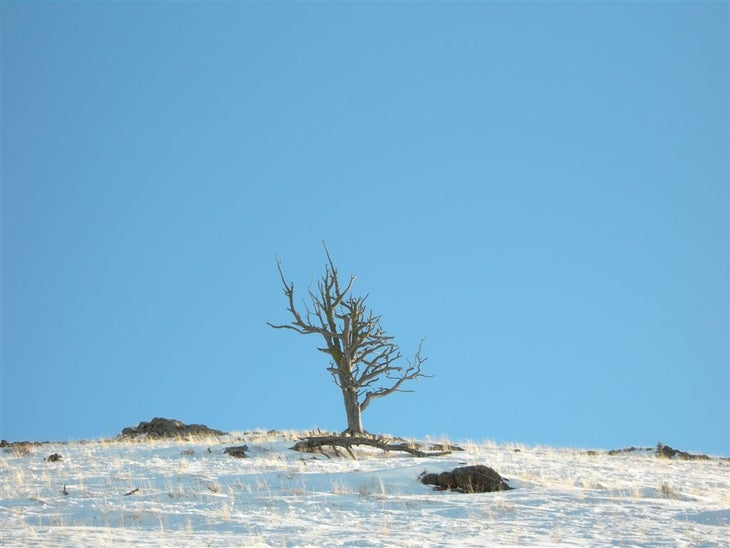 Snowy Hillside None