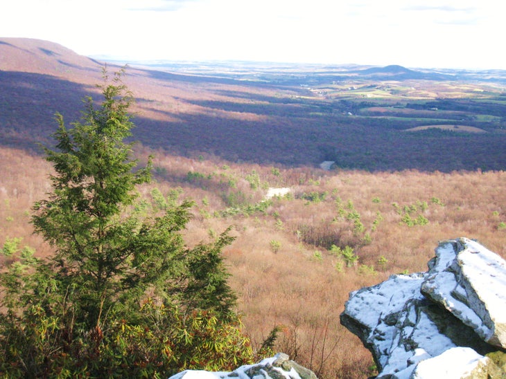 South Lookout View None