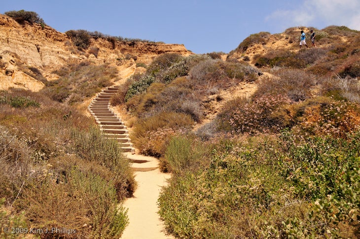 Stairs on Beach Trail None