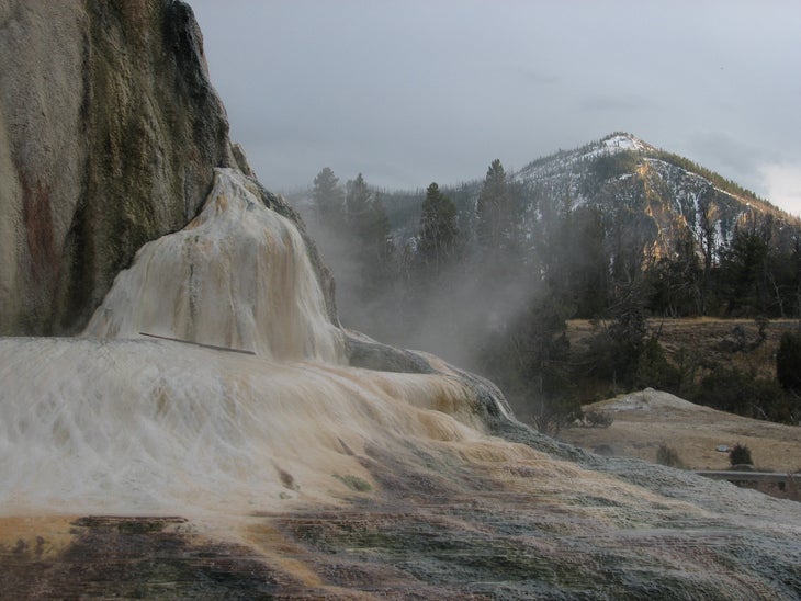 Steam From Orange Spring Mound None