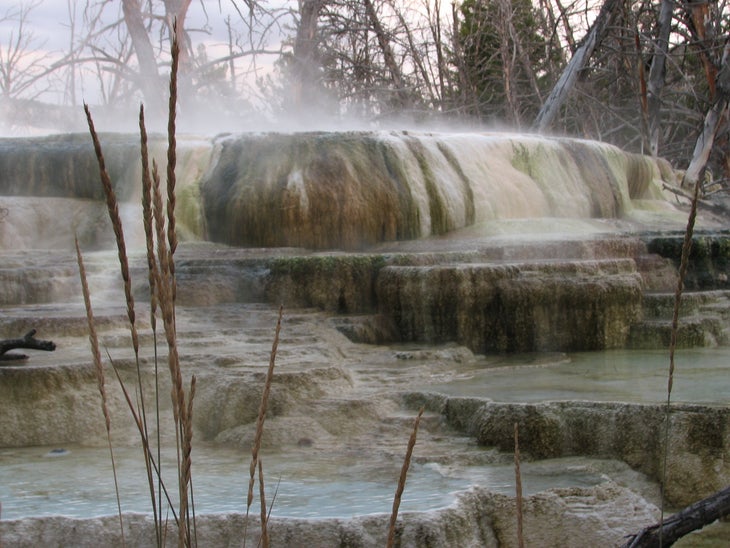 Steaming Pools at Narrow Gauge Terrace None