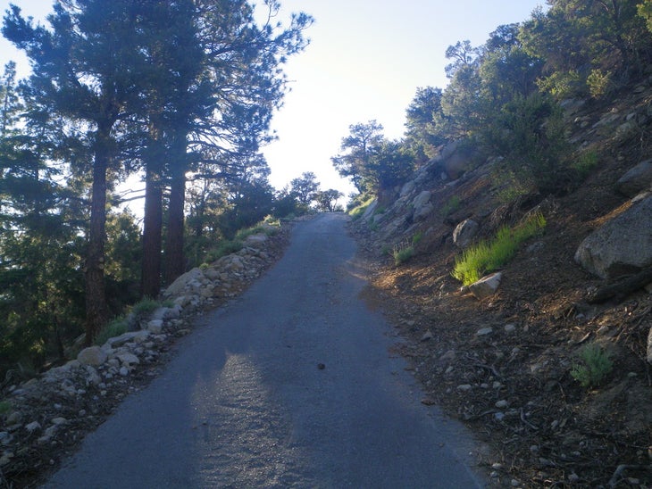 Steep Incline None