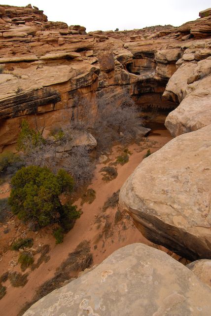 Steep Walls None
