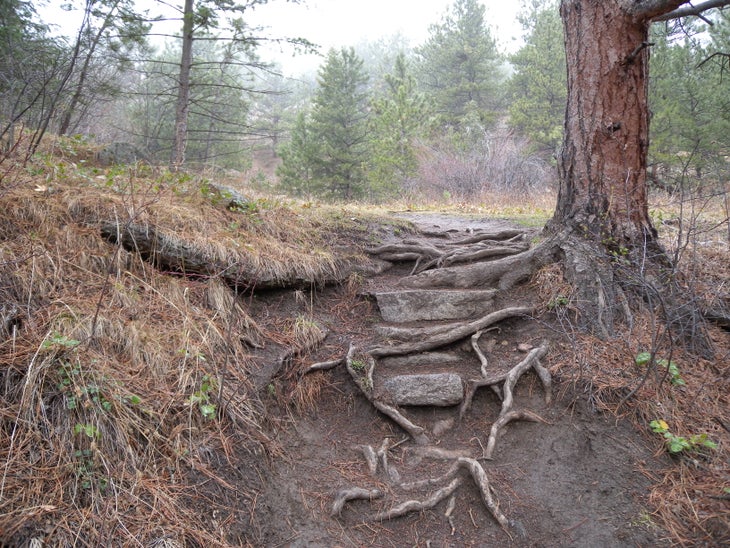 Steps None