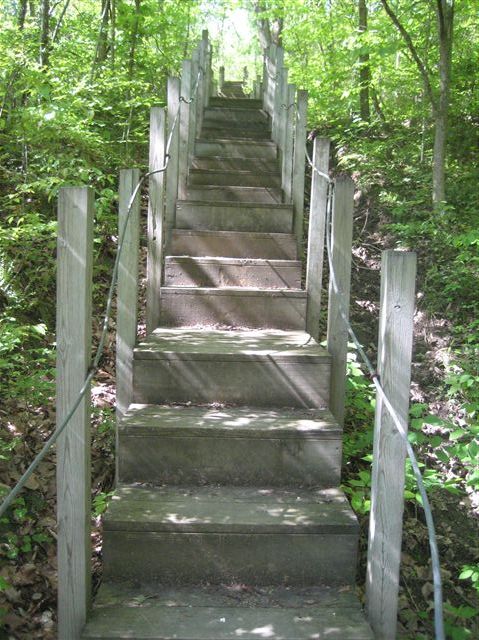 Steps None