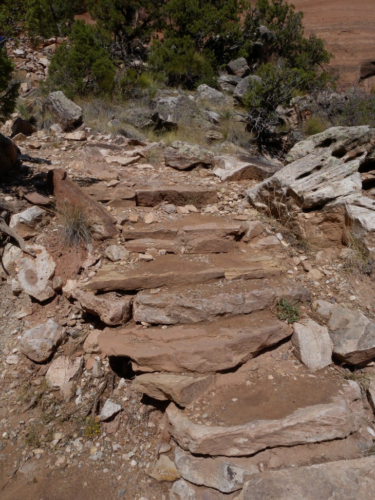 Steps None